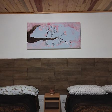 Cabana La Camelia 克雷尔 外观 照片