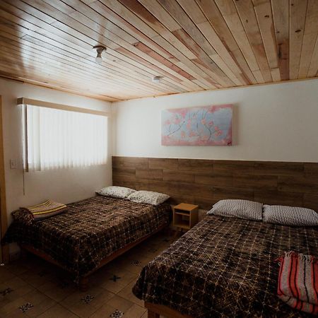 Cabana La Camelia 克雷尔 外观 照片