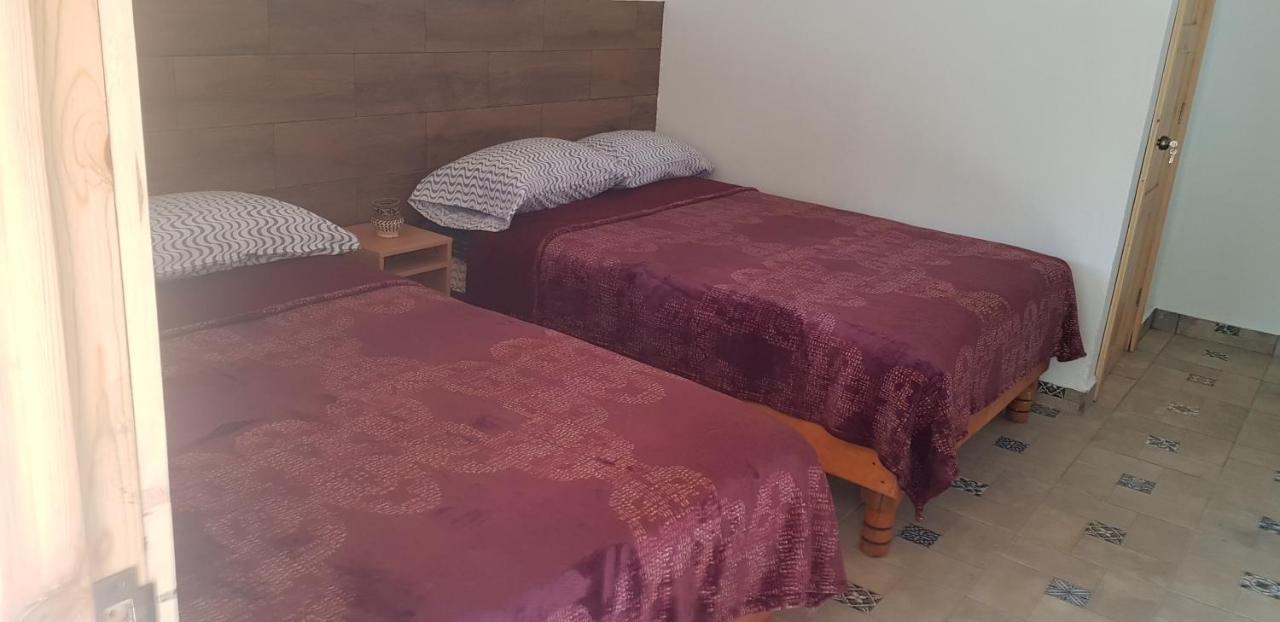 Cabana La Camelia 克雷尔 外观 照片
