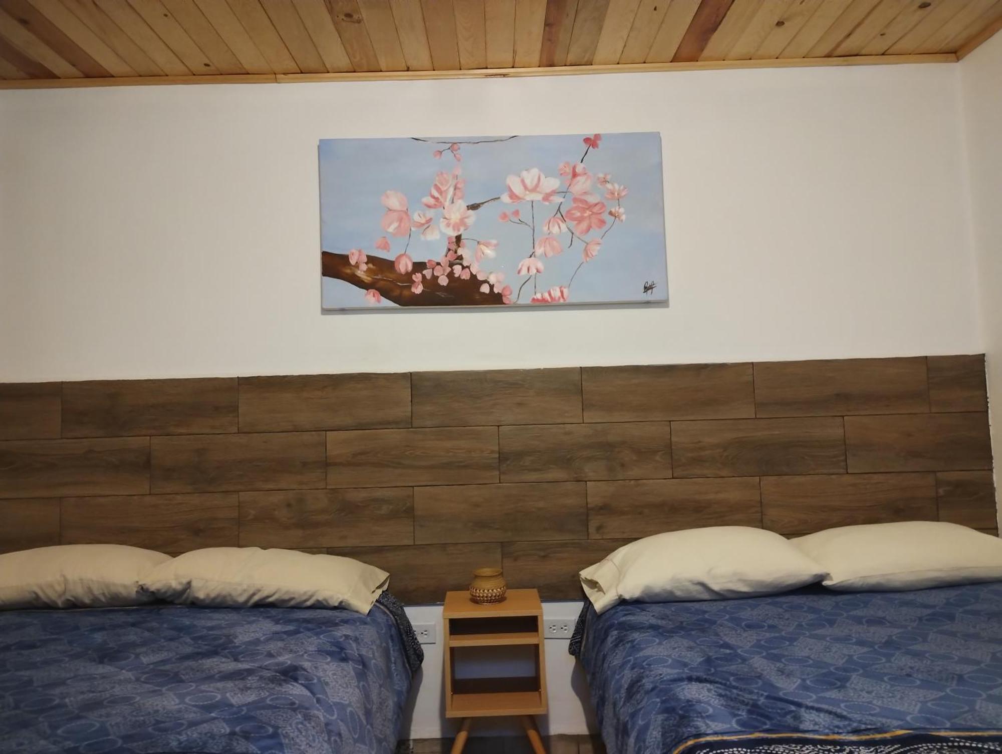 Cabana La Camelia 克雷尔 外观 照片